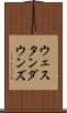 ウェスタンダウンズ Scroll