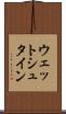 ウェットシュタイン Scroll