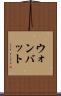 ウォンバット Scroll
