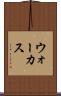 ウォーカス Scroll