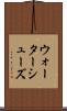 ウォーターシューズ Scroll