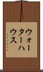 ウォーターハウス Scroll
