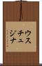 ウスチュジナ Scroll