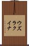 ウズラクイナ Scroll