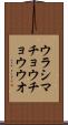 ウラシマチョウチョウウオ Scroll