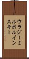 ウラジーミルボルインスキー Scroll