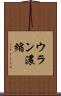 ウラン濃縮 Scroll