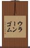 ウラーンゴム Scroll