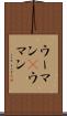 ウーマン(P) Scroll