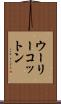 ウーリーコットン Scroll