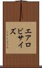 エアロビサイズ Scroll