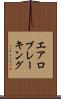 エアロブレーキング Scroll