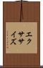 エクササイズ Scroll