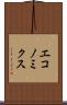 エコノミクス Scroll