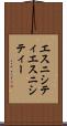 エスニシティ Scroll