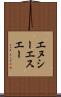 エヌシーエスエー Scroll