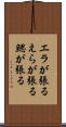 エラが張る Scroll