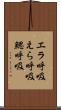 エラ呼吸 Scroll