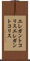 エレガントコリス Scroll