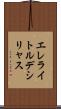 エレライトルデシリャス Scroll