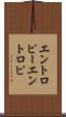 エントロピー Scroll