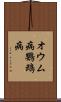 オウム病 Scroll