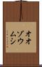 オオゾウムシ Scroll