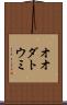 オオダトウミ Scroll