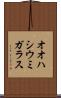 オオハシウミガラス Scroll