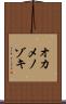 オカメノゾキ Scroll