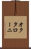 オクタローニ Scroll
