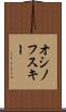 オシノフスキー Scroll