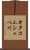 オタコムシュベ川 Scroll