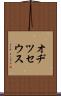 オヂツセウス Scroll