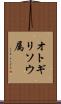 オトギリソウ属 Scroll