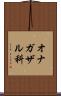 オナガザル科 Scroll