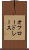 オフロードレース Scroll