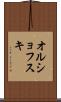 オルショフスキ Scroll