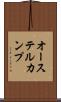 オーステルカンプ Scroll