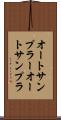 オートサンプラー Scroll
