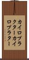 カイロプラクター Scroll