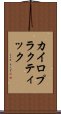 カイロプラクティック Scroll