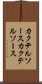カクテルソース Scroll