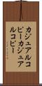 カジュアルコピー Scroll