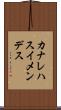 カナレハスイメンデス Scroll