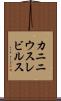 カニニウスレビルス Scroll