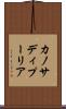 カノサディプーリア Scroll