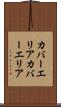 カバーエリア Scroll