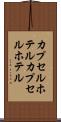 カプセルホテル Scroll