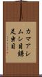 カマアシムシ目 Scroll
